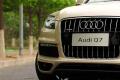 奥迪(进口) 奥迪Q7 2011款 3.0 TFSI 专享型(245kW)