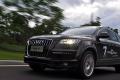 奥迪(进口) 奥迪Q7 2011款 3.0 TFSI 专享型(245kW)