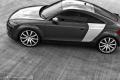 奥迪(进口) 奥迪TT 2011款 TTS Coupe 2.0TFSI quattro