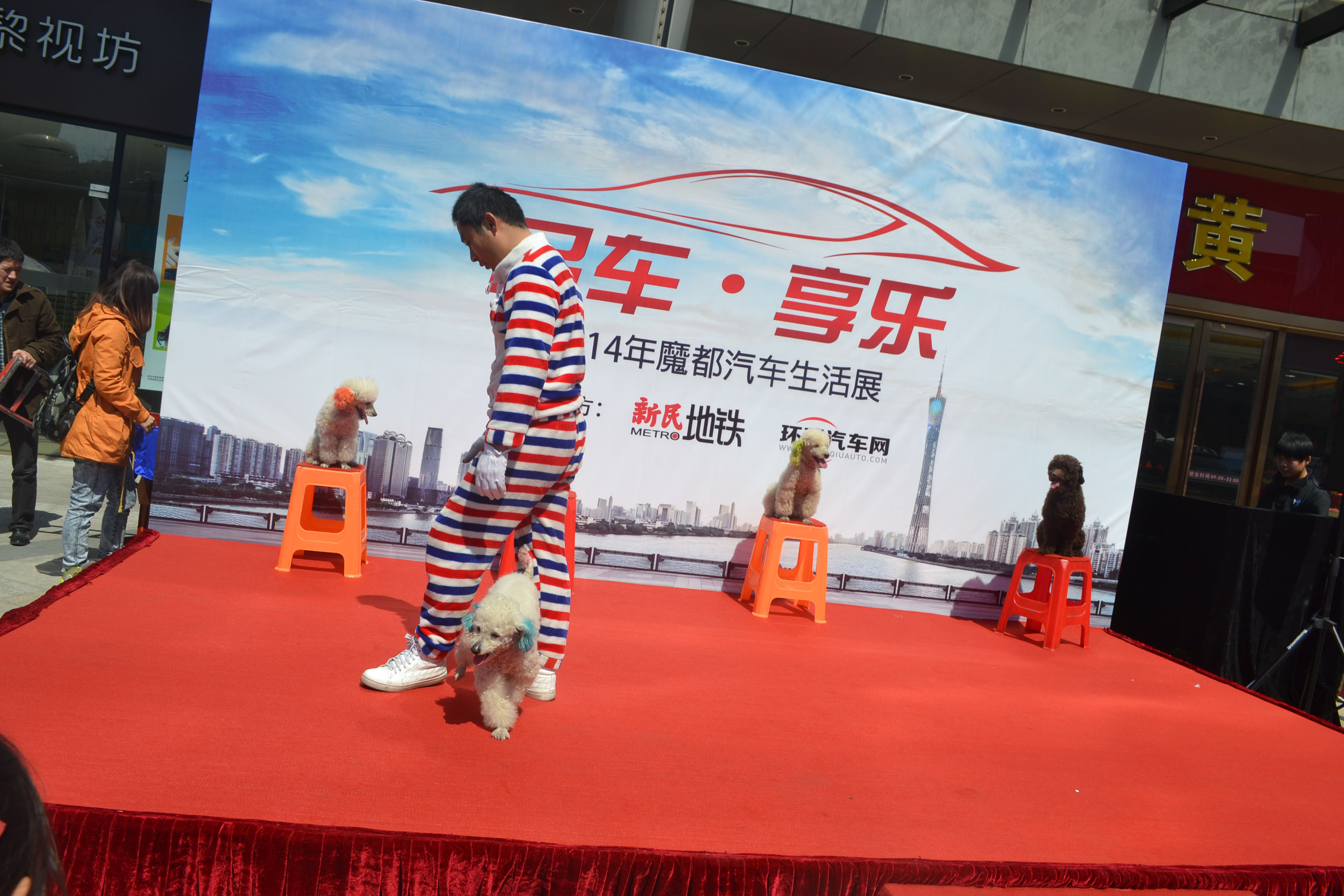 3月闵行仲盛