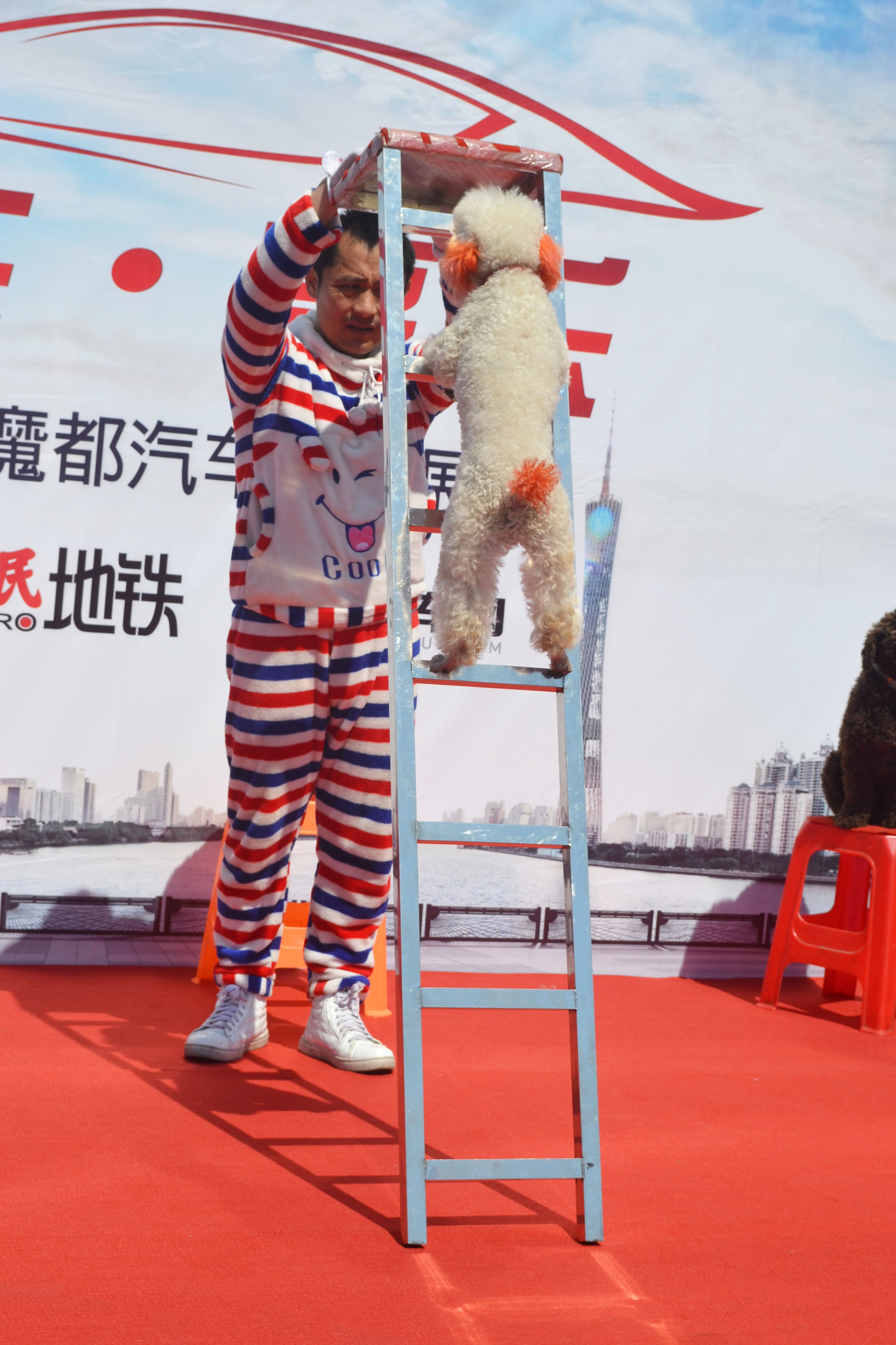 3月闵行仲盛