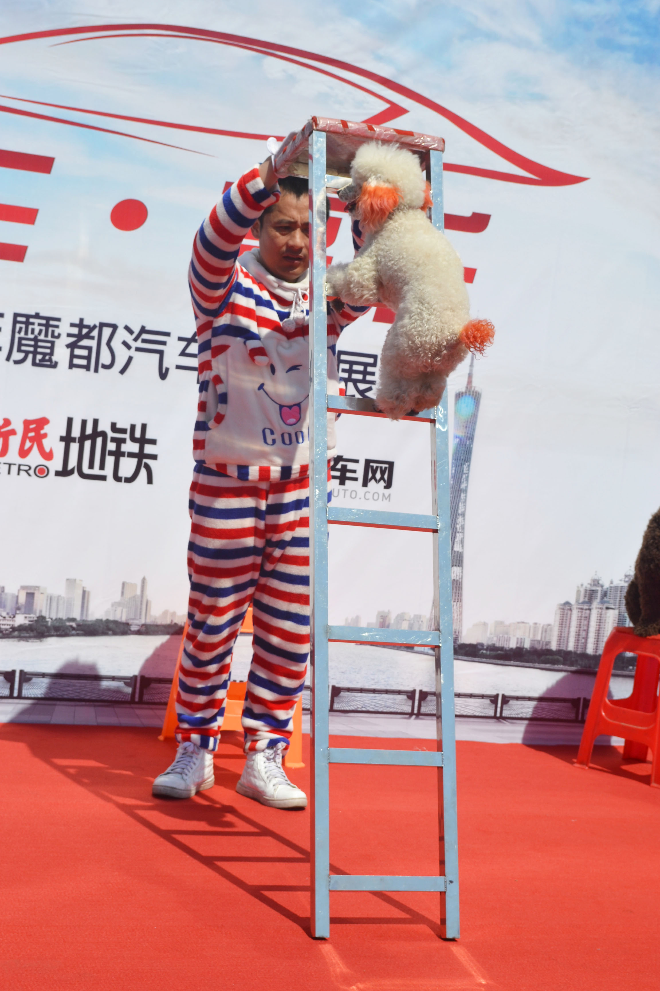 3月闵行仲盛