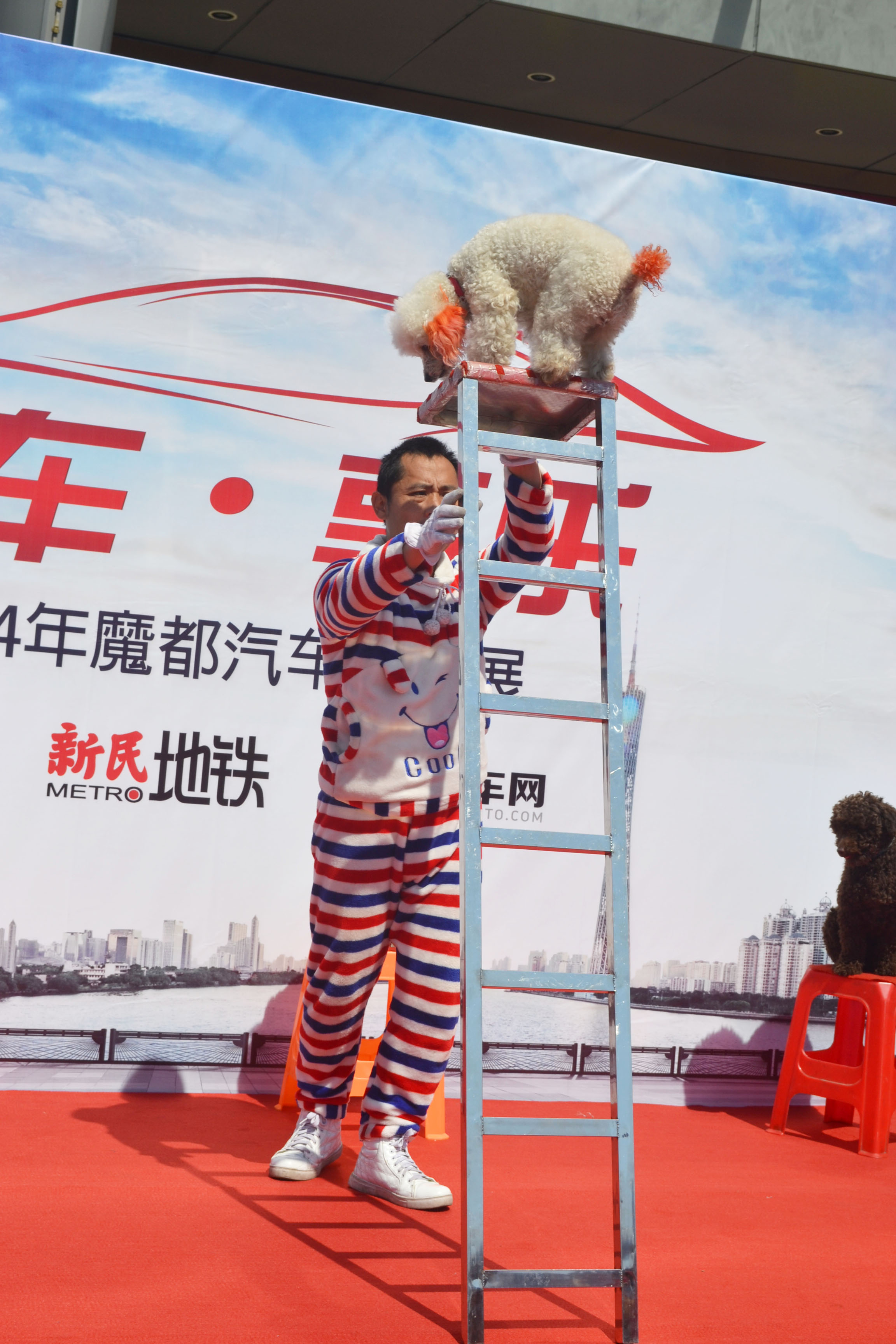 3月闵行仲盛